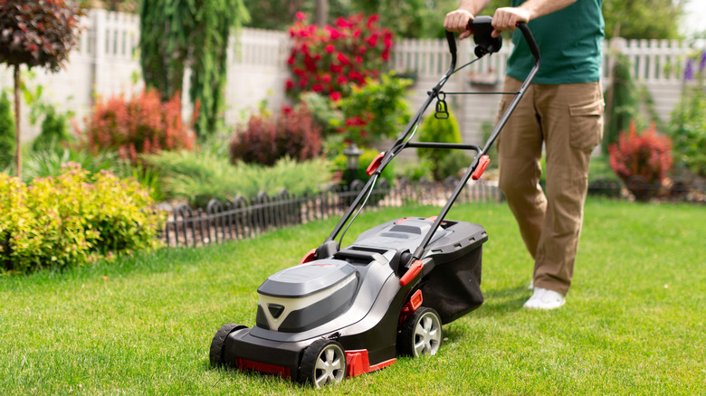 man mowing the grass in his backyard