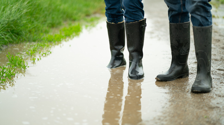 Couple wearing rain boots in dirty storm runoff