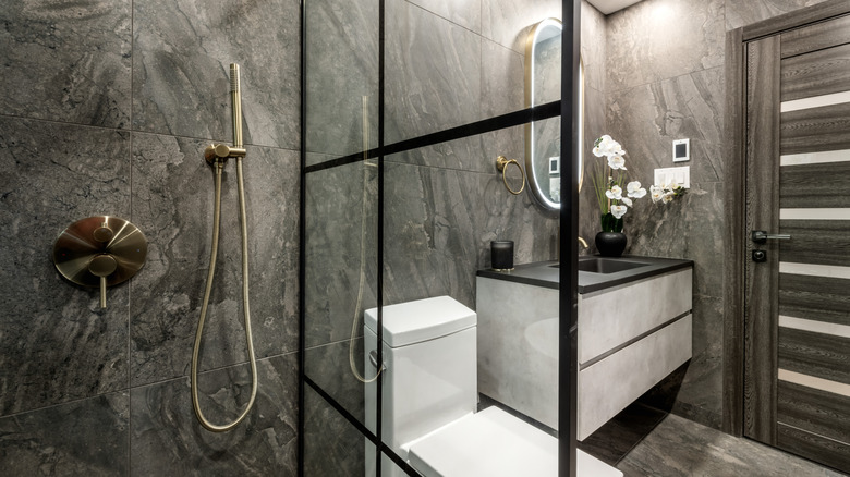The view from a luxury basement shower